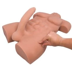 Cheap ⌛ Boss Daddy Large Realistic Cock & Ass Torso - 12kg 😉 -Strapon dildo Store unnamed file 523